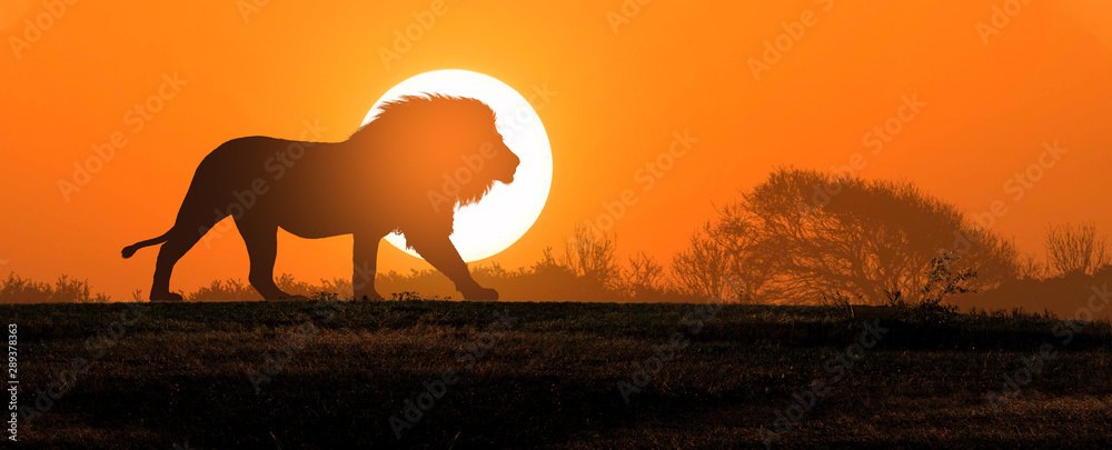 Local specialist travel planning guide for East Africa safaris